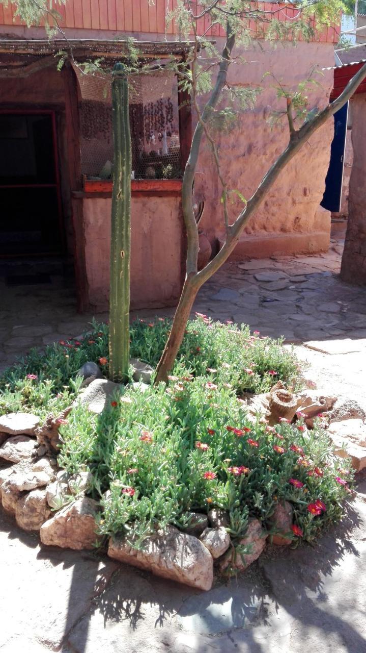 Hostal Sonchek Vandrerhjem San Pedro de Atacama Eksteriør bilde